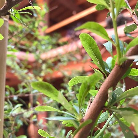 Asrir Cultural Space Tiznit Ngoại thất bức ảnh